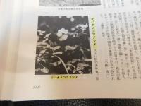 「愛媛県百科大事典」