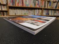 「ニューステージ　地学図表」