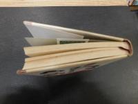 「後家長屋」　町之介慕情