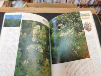 「ハーブ 　新来の香草たち」