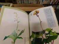 「植物図鑑のように楽しい　野の花万葉の花」