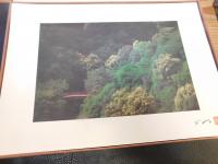「坪内寿夫コレクション　草木花　　写真　浅井慎平」