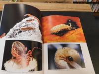 「写真で見る　小さな生きものの不思議」　土壌動物の世界