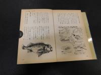 「漁師の料理」