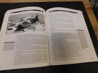 「Concrete Jungle」　A Pop Media Investigation of Death and Survival in Urban Ecosystems - Softcover