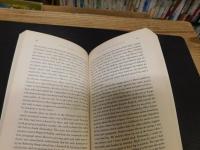 「The book of illusions」