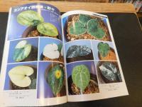 「自然と野生ラン　２００４年７月号」　富貴蘭全国大会速報