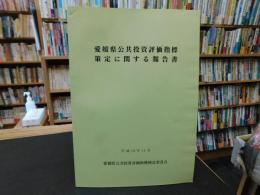 「愛媛県公共投資評価指標策定に関する報告書」