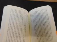 「近代日本の文学空間」　歴史・ことば・状況