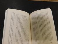 「パルチザンの理論」