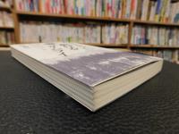 「オーロラに駆けるサムライ」