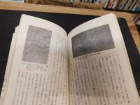 「新居浜の地質」