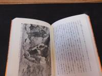 「日本アルプス再訪」