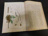 「樟樹害蟲並病菌調査書」