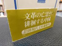 「歴史のなかの中国文化大革命」
