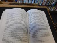 「Multiculturalism, postcoloniality, and transnational media」