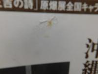 「沖縄戦の真実」　 千人の沖縄県民に聞いた本当の声  「原爆と峠三吉の詩」原爆展全国キャラバン隊報告