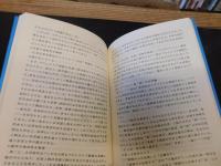 「文革期文学概説」　 1966年-1976年の文学