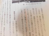 「解放南ベトナム」　 革命と人間