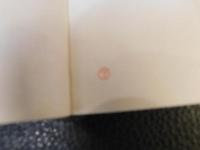 「ベトナム南方からのたより」
