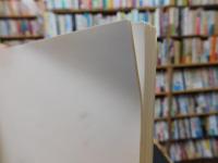 図録　「石橋美術館名作展　青木繁と日本近代洋画の青春像」　愛媛新聞創刊１１０周年記念
