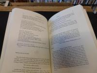 「The birth-mark」　unsettling the wilderness in American literary history