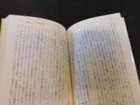 「ハーメルンの笛吹き男」　伝説とその世界