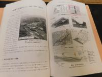 「自然災害地研究」