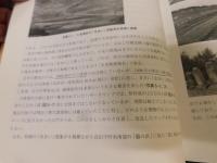 「自然災害地研究」