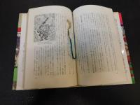 「ランカイ屋一代」　わが博覧会100年史