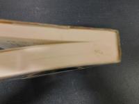 「贋・久坂葉子伝」