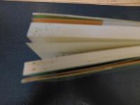 「貧困なる精神 　B集」　悪口雑言罵詈讒謗集　「学者」について学者たちに問う