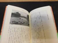 「源義経」　 源平内乱と英雄の実像