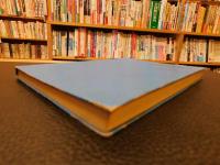 「映像論序説」