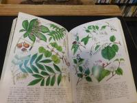 「日本の植生図鑑　１　森林」