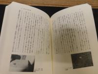 「盤上遊戯の世界史」　シルクロード遊びの伝播