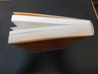 日本と中国、「脱近代」の誘惑