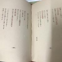 世界童謡選集