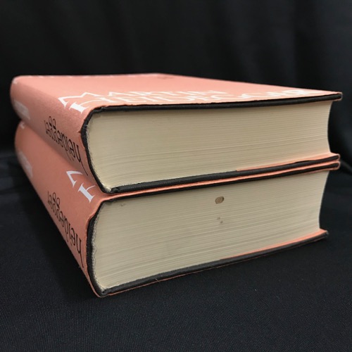 NIETZSCHE Ⅰ・Ⅱ 2冊(Martin Heidegger) / 古本、中古本、古