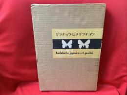 ギフチョウ・ヒメギフチョウ : 生態写真