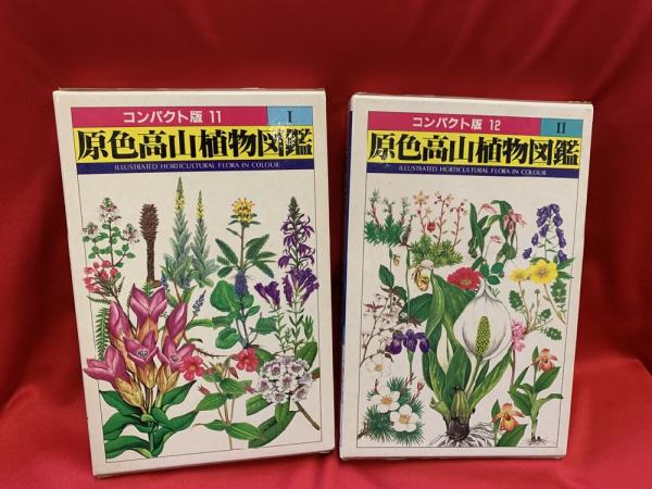原色高山植物大図鑑 : omphalodes_rieko メドウに吹く風