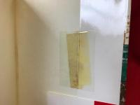 北鮮・シベリア戦友録 : 国境守備・築第七四八一部隊田中大隊の軌跡