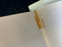 NTD 新約聖書註解 全11巻＋別巻 全12冊(ゲルハルト・フリードリヒ 監修