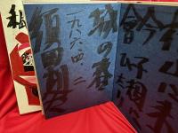 私の曼陀羅 : 須田剋太の世界