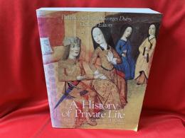 Revelations of the medieval world   Ⅱ