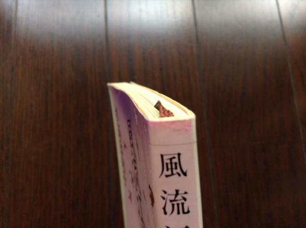 風流江戸雀(杉浦日向子 著) / 古書 ほやけん洞 / 古本、中古本