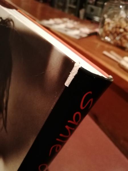 Sante D'orazio 写真集 a private view Carnets Intimes = A Private