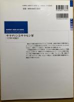 サラディンとサラセン軍 : 十字軍の好敵手