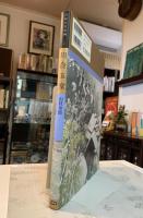 川合玉堂 : 山村余情