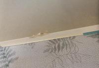 夢うつつの図鑑